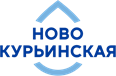 Новокурьинская